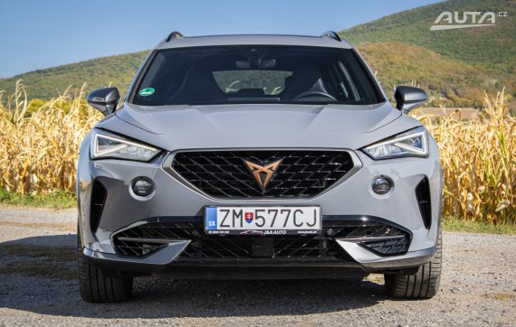 Cupra Formentor 2.0 TSI 310k 4Drive DSG, 228 kW, A7, 5d. / AJ NA SPLÁTKY / PROTIÚČET / 2022 šedá