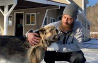 Pes v USA zachránil svého majitele, když k autonehodě dovedl policii
